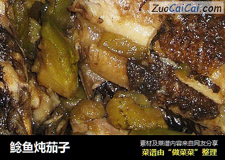 鲶鱼炖茄子