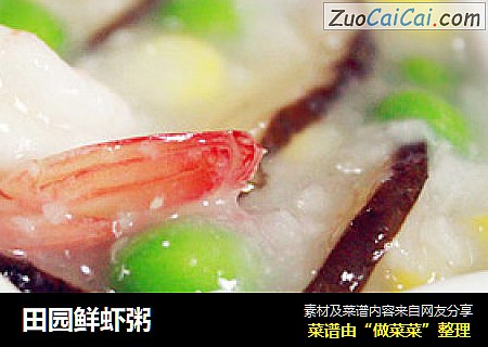 田园鲜虾粥