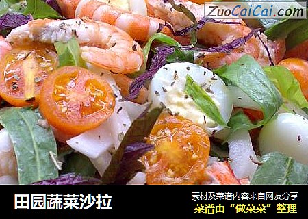 田园蔬菜沙拉