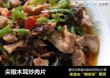 尖椒木耳炒肉片