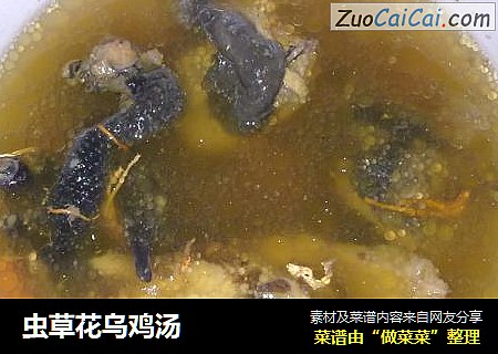 虫草花乌鸡汤
