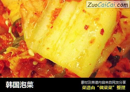 韩国泡菜
