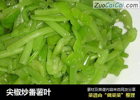 尖椒炒番薯叶
