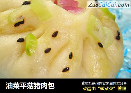 油菜平菇猪肉包
