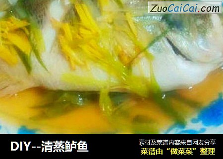 DIY--清蒸鲈鱼