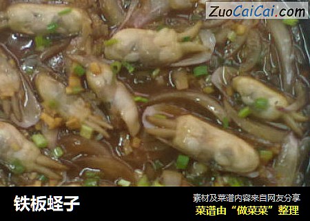 铁板蛏子