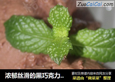 浓郁丝滑的黑巧克力冰淇淋（Chocolate Ice Cream）