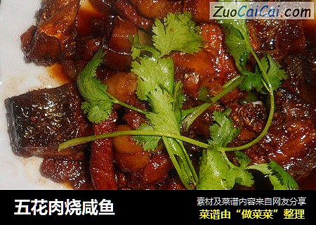 五花肉烧咸鱼