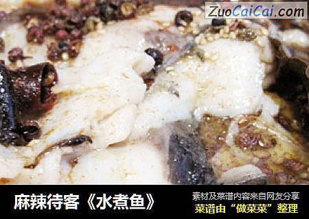 麻辣待客《水煮鱼》