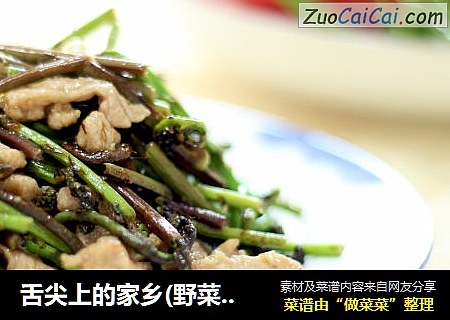 舌尖上的家乡(野菜篇）——猴腿菜炒肉丝（附肉丝滑嫩秘诀）