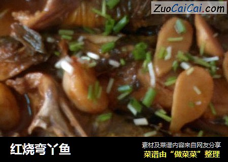 红烧弯丫鱼