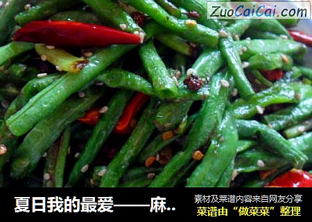 夏日我的最爱——麻辣豆角