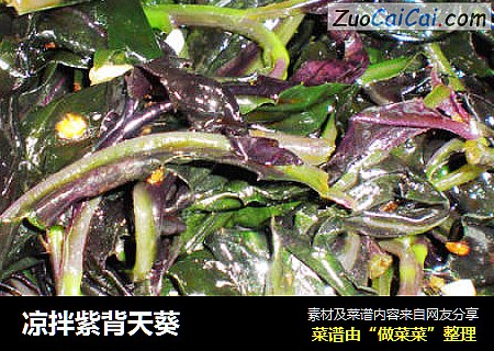 凉拌紫背天葵