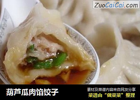 葫芦瓜肉馅饺子