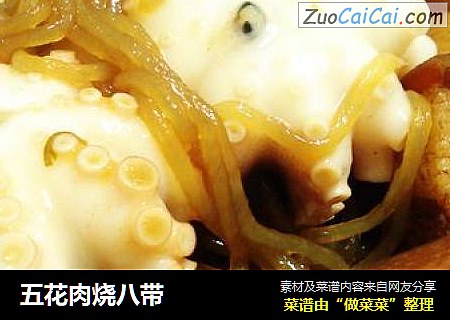 五花肉烧八带
