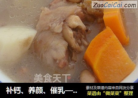 补钙、养颜、催乳——猪骨汤