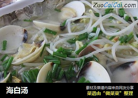 海白汤