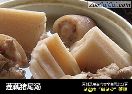 莲藕猪尾汤