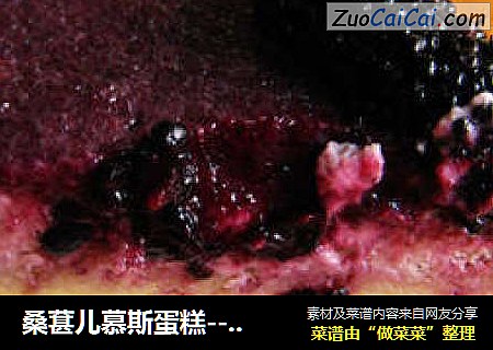桑葚儿慕斯蛋糕----舌尖上的夏日冰凉与甜美
