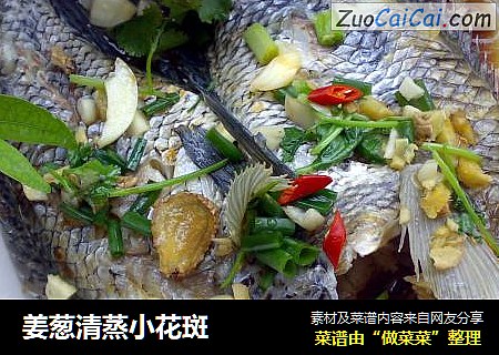 姜葱清蒸小花斑