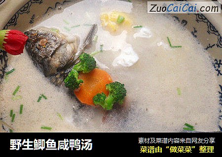 野生鲫鱼咸鸭汤