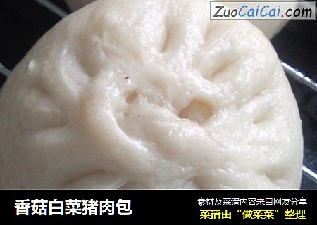 香菇白菜猪肉包