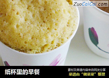 纸杯里的早餐