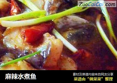 麻辣水煮鱼