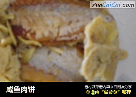 咸鱼肉饼