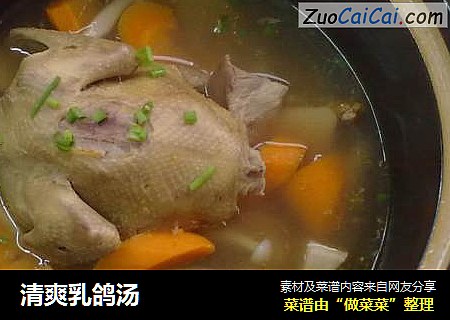 清爽乳鸽汤