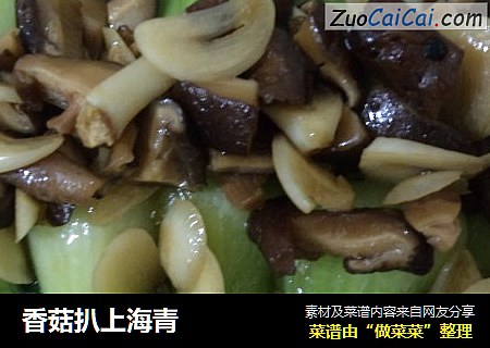 香菇扒上海青