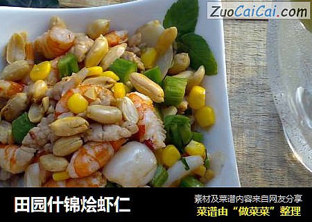 田园什锦烩虾仁