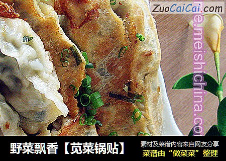 野菜飘香【苋菜锅贴】