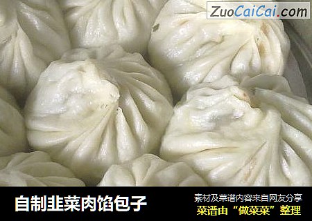 自制韭菜肉馅包子