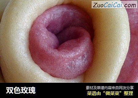 双色玫瑰