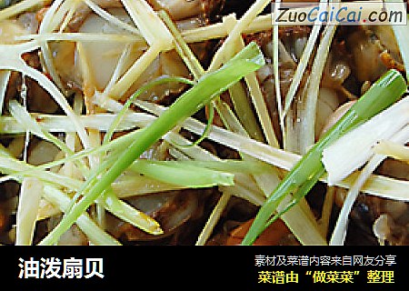 油泼扇贝