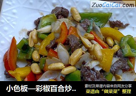 小色板—彩椒百合炒牛肉