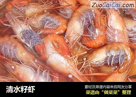 清水籽虾