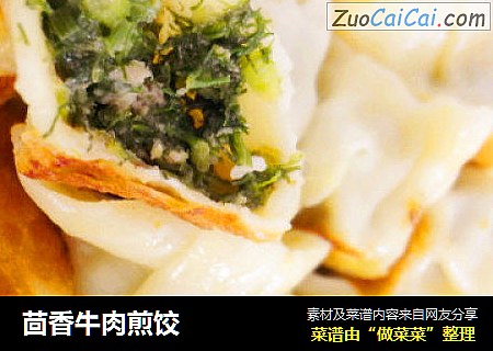 茴香牛肉煎饺