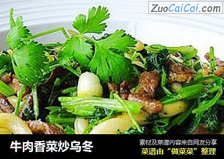 牛肉香菜炒乌冬