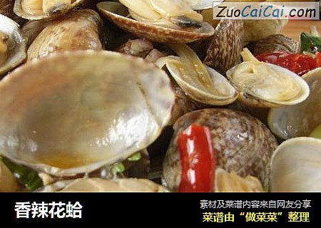 香辣花蛤