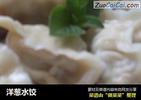 洋葱水饺