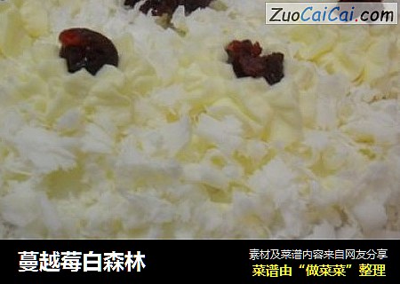 蔓越莓白森林