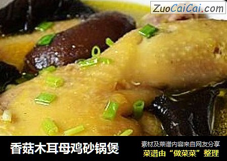 香菇木耳母鸡砂锅煲