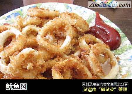 鱿鱼圈