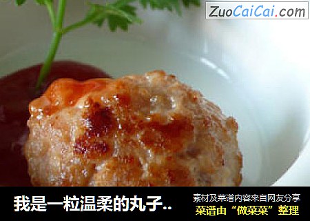 我是一粒温柔的丸子——豆心丸子