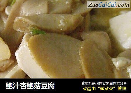 鲍汁杏鲍菇豆腐
