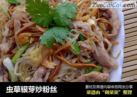 虫草银芽炒粉丝