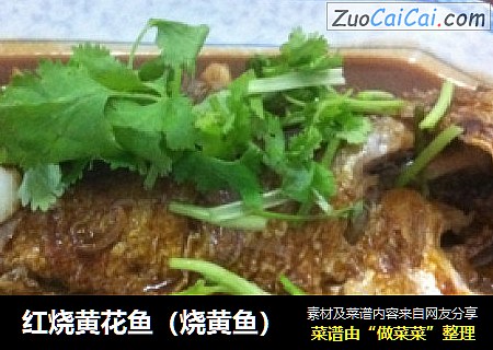 红烧黄花鱼（烧黄鱼）