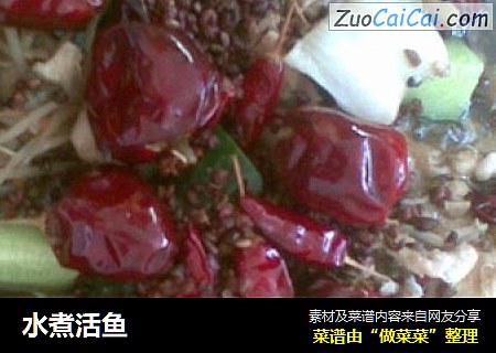 水煮活鱼
